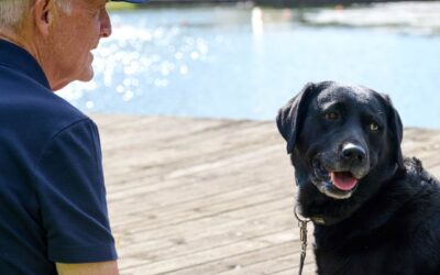 Rabat til DCU-medlemmer