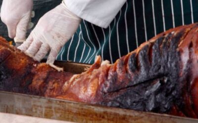 Grisefest på Randbøldal Camping